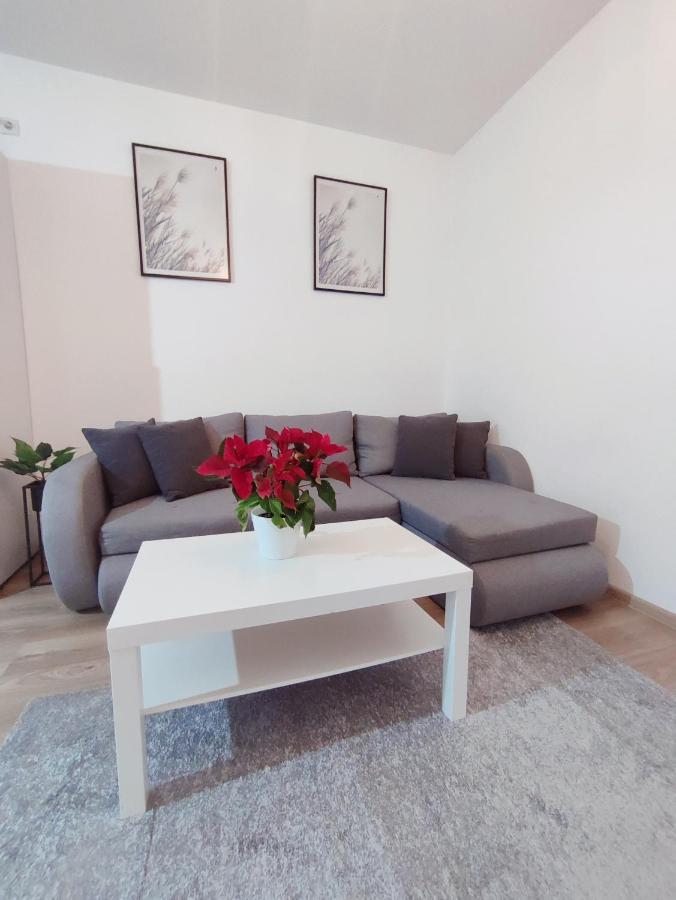Central Residence Baia Mare Exterior photo